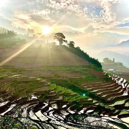 Eco Hills Homestay Sapa Bagian luar foto