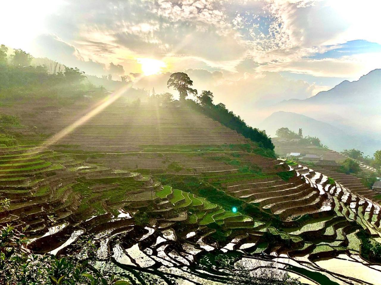 Eco Hills Homestay Sapa Bagian luar foto
