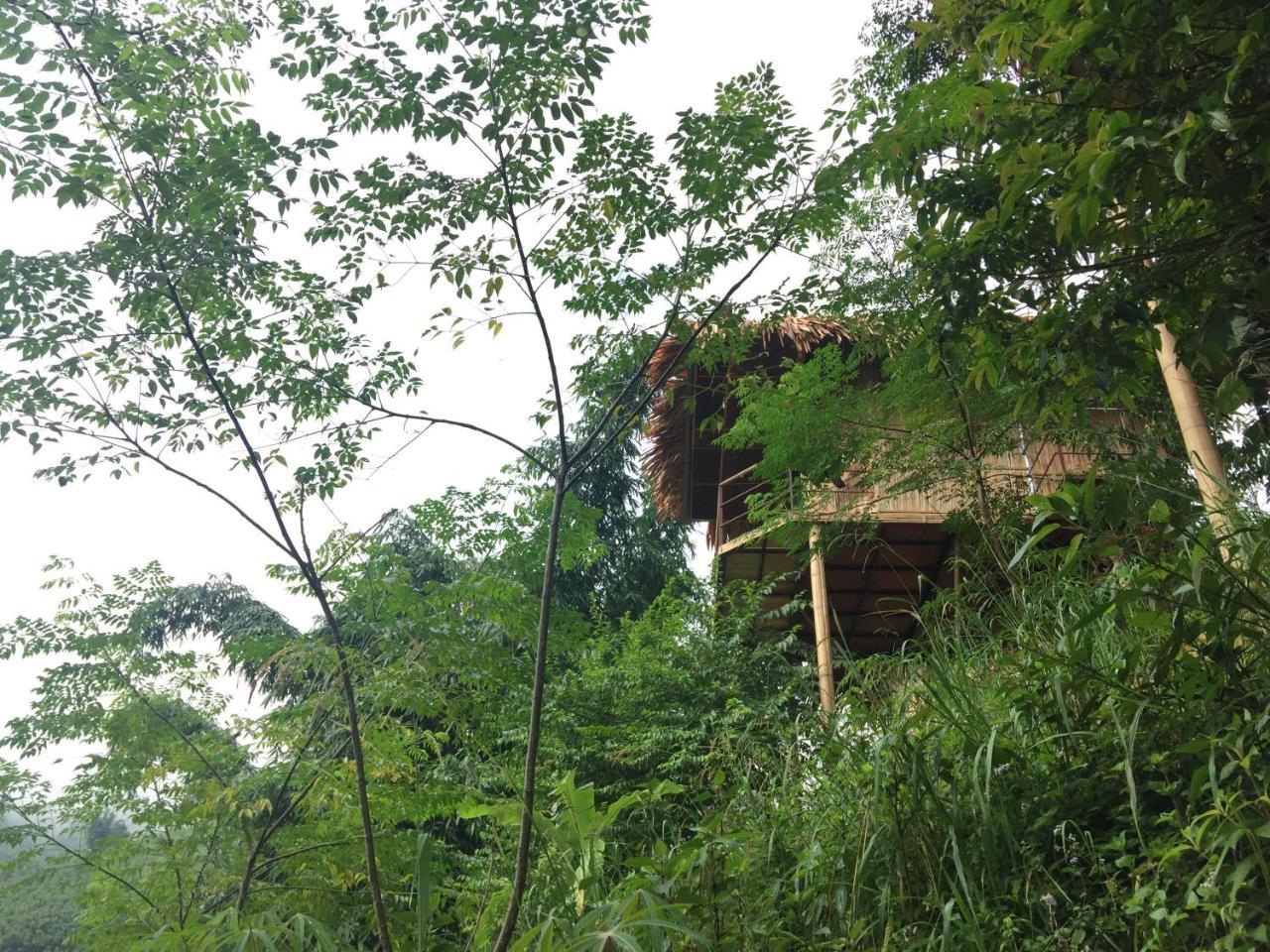 Eco Hills Homestay Sapa Bagian luar foto