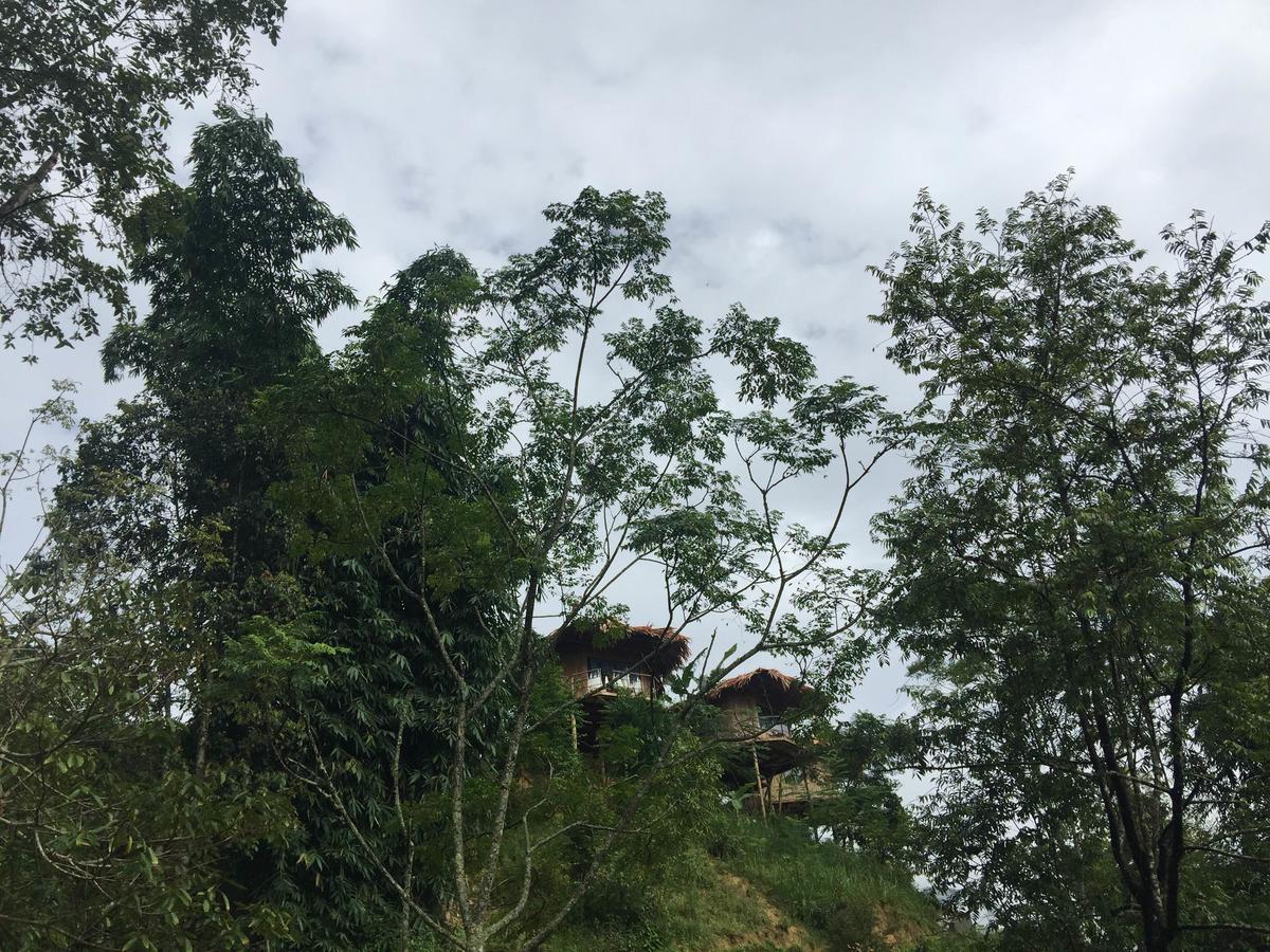 Eco Hills Homestay Sapa Bagian luar foto